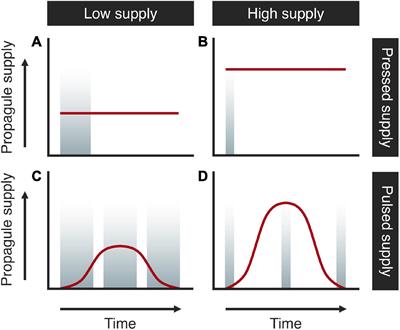 Detecting Rare Species With Passive Sampling Tools: Optimizing the Duration and Frequency of Sampling for Benthic Taxa